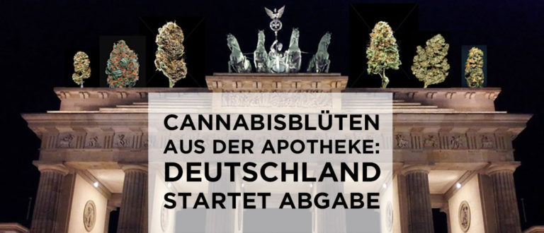 Bundestags-Beschluss pro Medizinalhanf erwartet