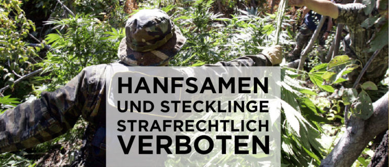 Regierungsprogramm attackiert gesamte Hanfbranche