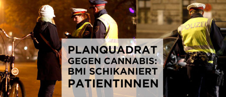 Führerscheinabnahmen wegen Hanf: ARGE CANNA berät und hilft