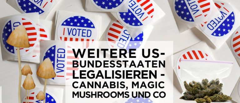 Mehrere US-Bundesstaaten legalisieren