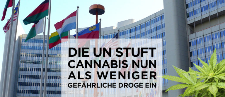 Die U.N. stuft Cannabis nun als weniger gefährliche Droge ein