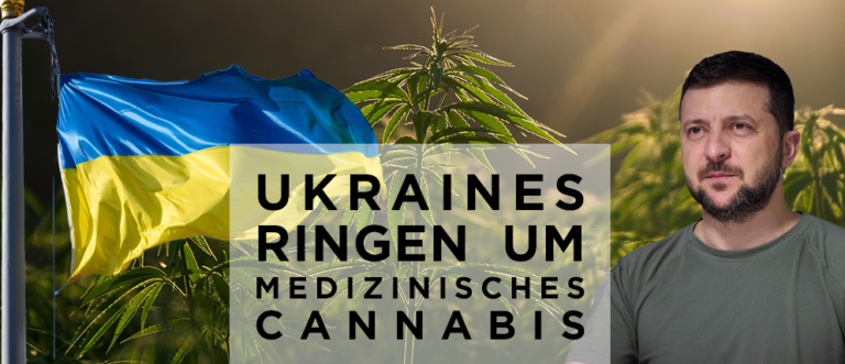 Ukraines Ringen um medizinisches Cannabis
