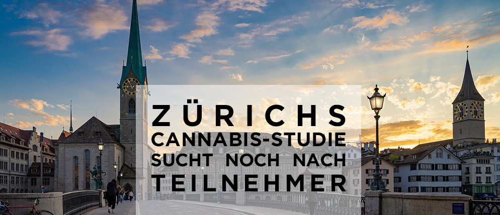 Zürich Cannabis Studie